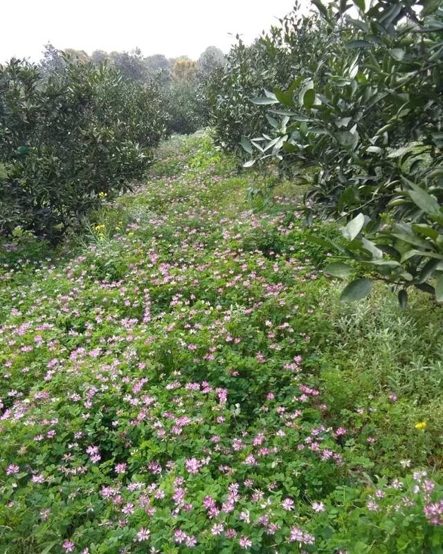 pg国际008国际官网