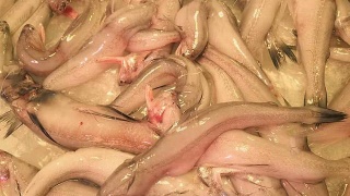 pg国际008国际官网