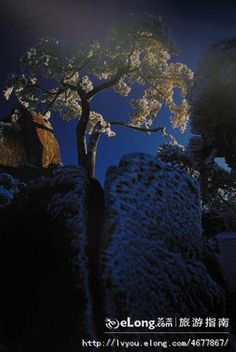 眼部如何护理 眼部护理小窍门_008pg国际版官网入口(图1) pg国际008国际官网