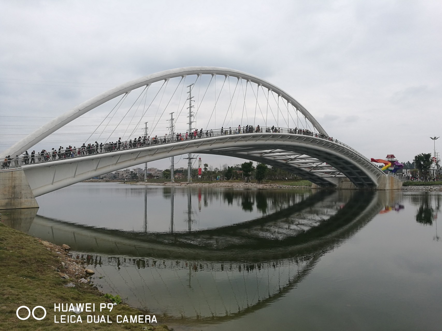 008pg国际官网版