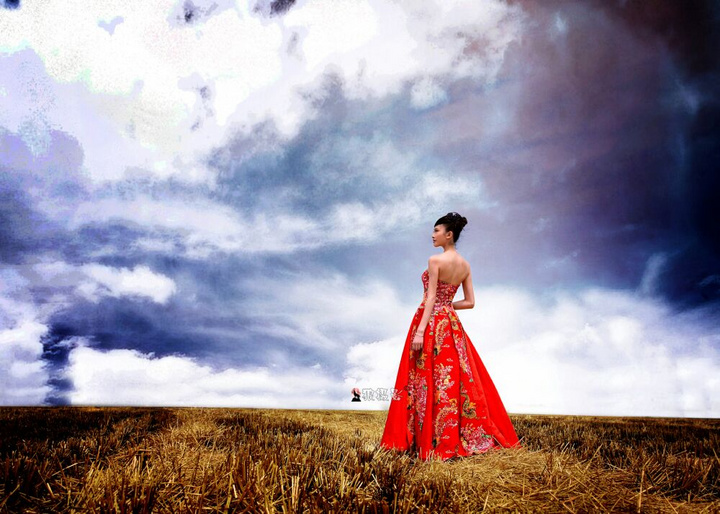 008pg国际官网版