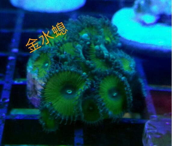 科技论文的英文摘要应该这样写‘pg国际008国际官网’(图1) pg国际008国际官网