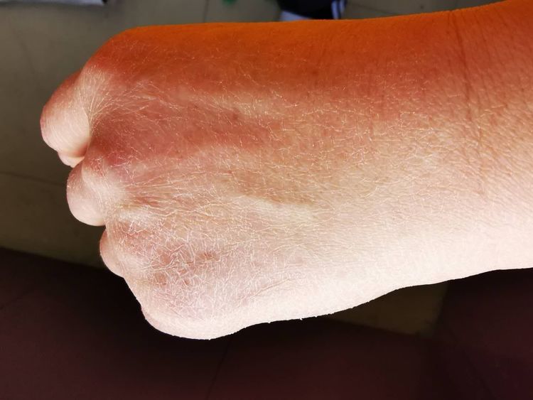 008pg国际官网版