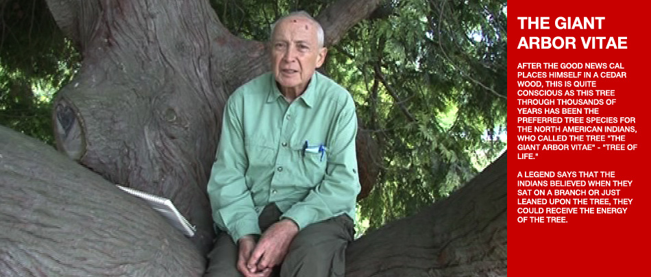 008pg国际官网版