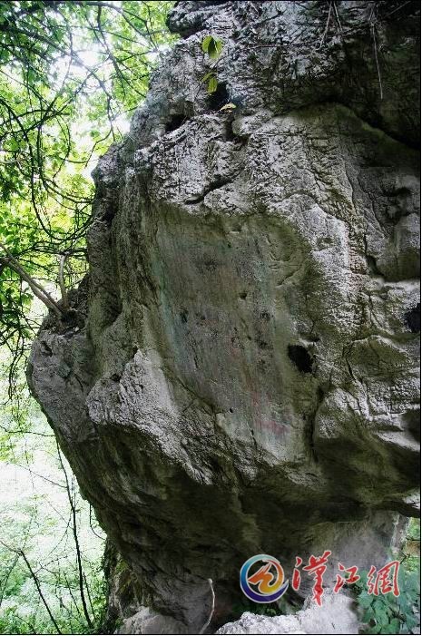 008pg国际官网版