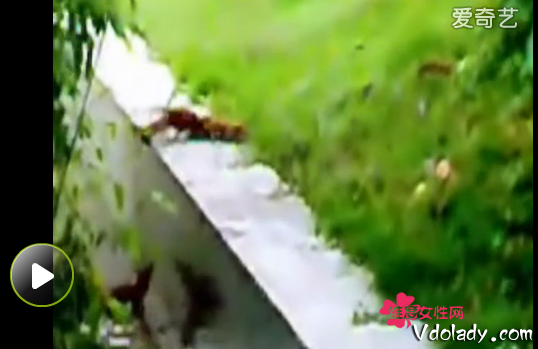 008pg国际官网版