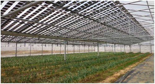 008pg国际官网版