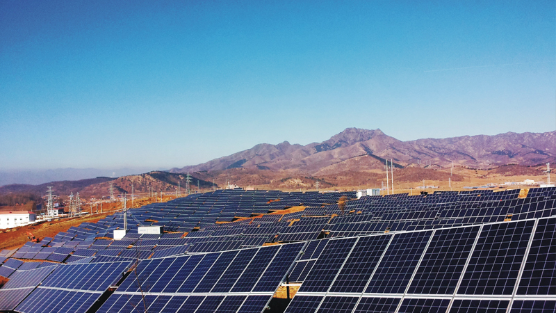 最新进境500吨冻猪类产品含类似瘦肉精成分|008pg国际官网版(图2) 008pg国际版官网入口