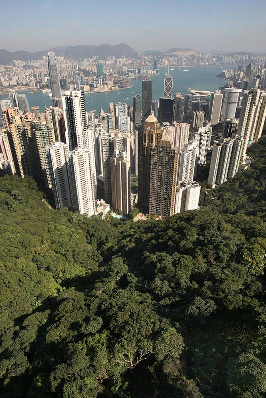 008pg国际官网版