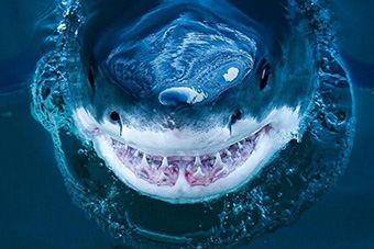 pg国际008国际官网